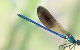 3 khung giờ sinh Âm lịch mang theo phúc khí: Trẻ lớn lên bình an, cuộc đời suôn sẻ hơn người