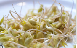 Người bị suy thận có ăn được giá đỗ không, cách sử dụng?