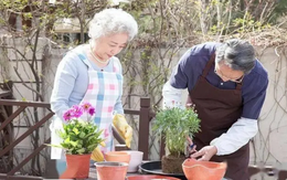 Bước vào tuổi 70 mà sở hữu 4 điều này, bạn chính là người già hạnh phúc nhất thế gian