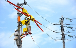 Lịch cúp điện TP. Cần Thơ tuần này (từ ngày 30/3 - 5/4/2026): Cập nhật khu vực bị mất điện nhiều giờ trong ngày