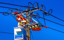 Lịch cúp điện Tây Ninh từ ngày 31/3 – 5/4/2026: Cập nhật những khu vực sẽ bị mất điện liên tục trong tuần