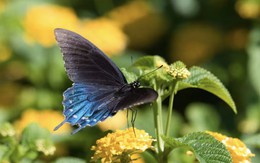 4 khung giờ sinh Âm lịch báo hiệu cuộc đời đủ đầy, về già được hưởng lộc con cháu