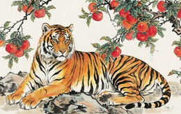 Đàn ông lấy 4 con giáp nữ này thường đổi vận sau hôn nhân