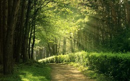 Giờ sinh Âm lịch của đứa trẻ vượng khí: Lớn lên dễ làm rạng danh cha mẹ