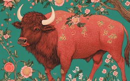 Top con giáp nữ khó tán bậc nhất: Không đủ bản lĩnh đừng theo đuổi