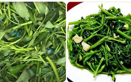 Bị sỏi thận ăn rau muống được không?