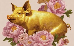 3 con giáp nam tài giỏi ngoài xã hội, dịu dàng trong gia đình