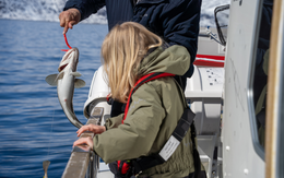 Xu hướng lựa chọn DHA cho trẻ nhỏ: Không chỉ là hàm lượng, mà là chất lượng toàn diện