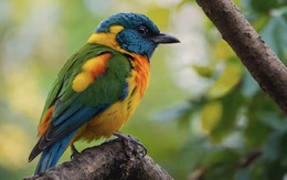 Tháng sinh Âm lịch của người có ý chí thép, dễ đạt thành tựu lớn