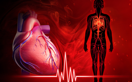 7 cách tăng cường sức khỏe tim mạch, bảo vệ trái tim từ sớm