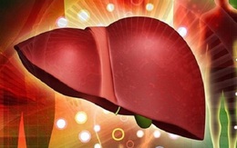 Loại quả bán rẻ quanh năm, giúp thải độc gan hiệu quả, người Việt nên ăn để phòng bệnh