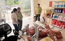 Phát hiện vụ vận chuyển phôi cây muội hồng trái phép qua đường bưu điện