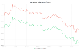 Giá bạc hôm nay 24/4: Bạc Phú Quý, bạc Doji, Ancarat, Sacombank-SBJ giảm bao nhiêu?
