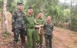 Thái Nguyên: Hơn 14 giờ chạy đua thời gian, tìm thấy bé 3 tuổi bị lạc ở khu vực khe suối