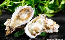 Loại hải sản này vừa béo vừa ngon, giàu protein và dinh dưỡng, 2 cách chế biến tại gia ăn hoài không chán!