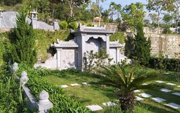 Cây xanh nào giúp mộ phần thêm phúc khí cho tổ tiên và con cháu?