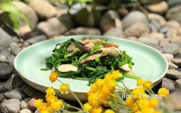 Loại rau "tốt nhất thế giới", giàu chất chống oxy, giảm cholesterol xấu được chuyên gia dinh dưỡng công nhận