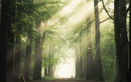 Số cuối ngày sinh Âm lịch của người hay giúp đỡ người khác: Càng chân thành càng nhiều lộc