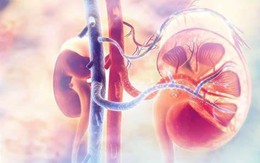 Người đàn ông 35 tuổi bị suy giảm chức năng thận vì bỏ qua 1 dấu hiệu nhiều người Việt mắc phải
