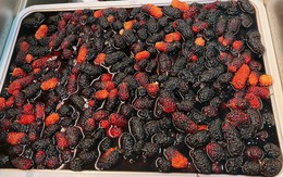 Cách ngâm dâu tằm để lâu không mốc hỏng và lên men cho mùa hè