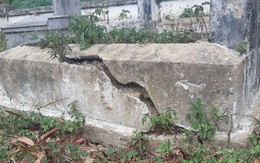 Cách xử lý mộ bị nứt, sụt lún để không ảnh hưởng đến sự bình an và hưng thịnh của con cháu