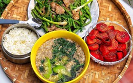 Loại rau rẻ tiền trong mâm cơm Việt gây bất ngờ khi được quốc tế ca ngợi như 'nhân sâm xanh', chế biến hơn 7 món ngon thanh mát mùa hè