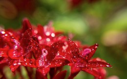 Ngày sinh Âm lịch của người có tài, ham học hỏi, trung niên dễ đổi đời ngoạn mục