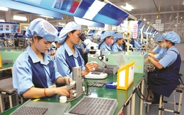 Học ngoại ngữ gì để AI không thể thay thế trong tương lai? Đây là 3 thứ tiếng đáng để đầu tư ngay từ bây giờ