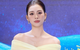 Một Hoa hậu Việt Nam bị gọi là 'bình hoa di động', phản ứng khiến nhiều người bất ngờ