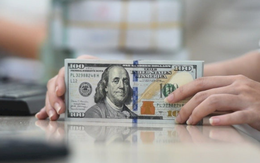 Tỷ giá USD hôm nay 18/5: Đồng Đô la Mỹ nhảy múa tại chợ đen, khối ngân hàng vẫn duy trì ở mức 25.131 đồng/USD
