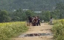 Nữ sinh lớp 8 ở Nghệ An bị đánh hội đồng sau mâu thuẫn trên mạng