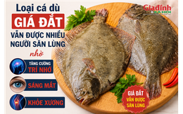 Loại cá dù giá đắt vẫn được nhiều người săn lùng nhờ tăng cường trí nhớ, sáng mắt, khỏe xương