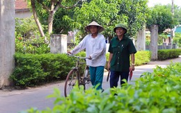 Tin vui cho trưởng thôn, tổ trưởng tổ dân phố sau sáp nhập, sắp được tăng mức hưởng phụ cấp theo quy định mới