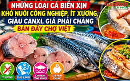 Những loại cá biển xịn, khó nuôi công nghiệp, ít xương, giàu canxi, giá phải chăng bán đầy chợ Việt