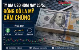 Tỷ giá USD hôm nay 25/5: Đồng Đô la Mỹ cầm chừng