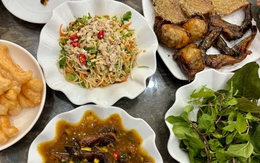 Sam biển - đặc sản '16 chân, 4 mắt' ở Quảng Ninh không phải ai cũng dám thử