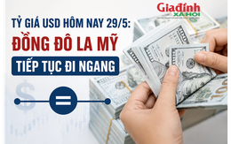 Tỷ giá USD hôm nay 29/5: Đồng Đô la Mỹ tiếp tục đi ngang