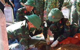 Số hóa thông tin các phần mộ tại nghĩa trang liệt sĩ có quy mô lớn nhất cả nước