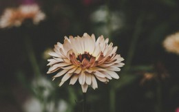 Số cuối ngày sinh Âm lịch của người 'giàu nứt vách'