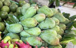Xoài hạt lép là xoài gì mà được nhiều người tiêu dùng tiêu thụ 'chóng mặt' đến vậy?