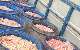 Kinh hãi gần 2 tấn xương chân gà bốc mùi hôi thối được người đàn ông vận chuyển đi bán