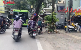 Bất ngờ trước giá tòa chung cư mini trục đường Hoàng Hoa Thám, Hà Nội khi tuyến đường sắt đô thị số 5 khởi động