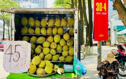 Loạn giá sầu riêng, nơi bán vài chục nghìn, nơi lên tới hàng trăm nghìn một kg