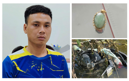 Đà Nẵng: Bắt giữ đối tượng liên tiếp gây ra nhiều vụ trộm cắp, cướp giật tài sản