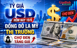 Tỷ giá USD hôm nay 10/6: Đồng Đô la Mỹ thị trường chợ đen tăng giá