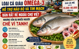 Loại cá giàu omega-3 hỗ trợ não bộ và tim mạch, bán rất rẻ ngoài chợ Việt, nhưng vẫn bị chê vì lý do này