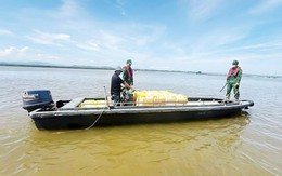 Biên phòng Quảng Ninh thu giữ gần 2.000 lít xăng không rõ nguồn gốc