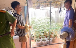 Bất ngờ với hệ thống 'mô phỏng' trồng cần sa trong nhà của gã thanh niên