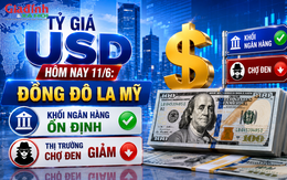 Tỷ giá USD hôm nay 11/6: Đồng Đô la Mỹ khối ngân hàng ổn định, ngược lại thị trường chợ đen giảm giá 