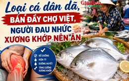 Loại cá dân dã, bán đầy chợ Việt, người đau nhức xương khớp nên ăn